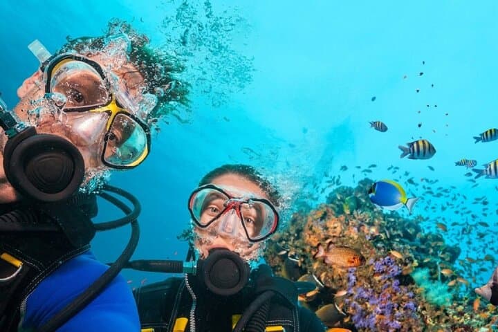 Tulamben Liberty Wreck: Full-Day Two-Dive Adventure in East Bali