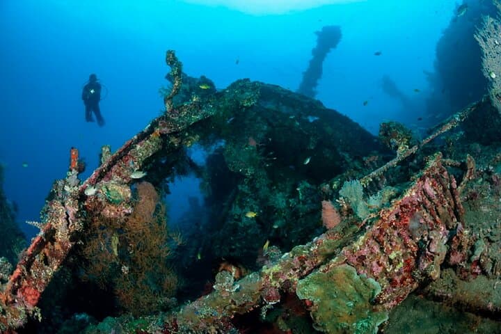 Tulamben Liberty Wreck: Full-Day Two-Dive Adventure in East Bali photo 2