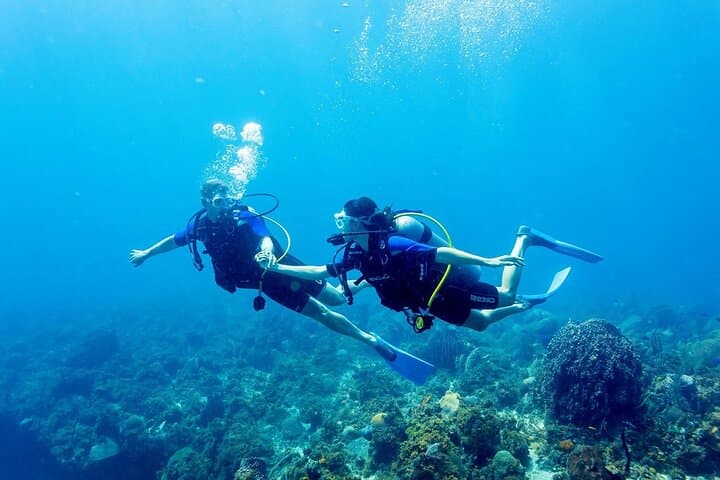 Tulamben Shipwreck & Coral Garden: Private Fun Dives on the USAT Liberty