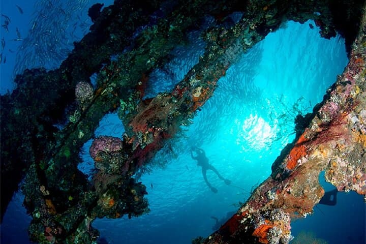 Tulamben Liberty Wreck: Full-Day Two-Dive Adventure in East Bali photo 5