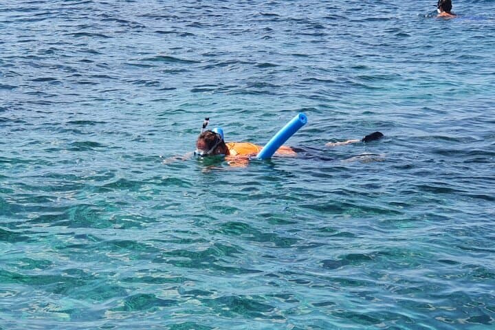 Private Nassau Charter: Snorkel, Swim with Turtles & Pigs, and Fish from a 35' Donzi photo 5