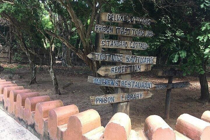 Prison Island, Stone Town & Spice Farm Private Tour — Full-Day Zanzibar Cultural and Coastal Experience photo 3