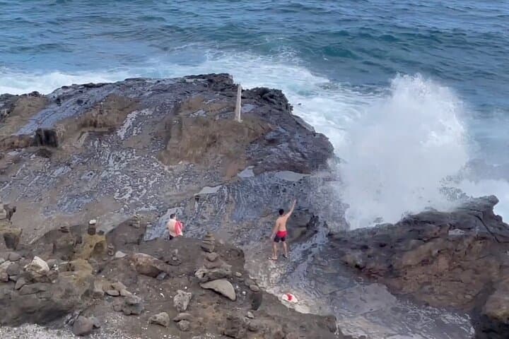 Oahu Circle Island Tour — Snorkel with Turtles, Byodo-In Temple & North Shore Flavors photo 3