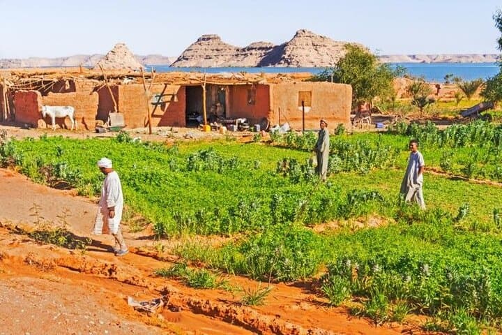 Half-Day Cairo Countryside Farm Tour & Traditional Breakfast with a Farming Family photo 2
