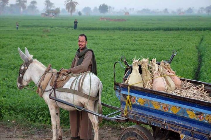 Half-Day Cairo Countryside Farm Tour & Traditional Breakfast with a Farming Family