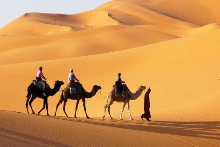 Private Dubai Desert Safari in 4x4 — Morning Dune Bashing, Sandboarding & Camel Ride photo 2