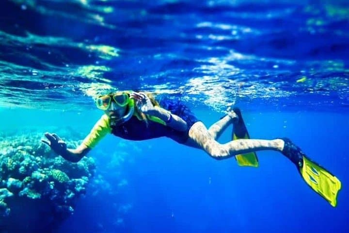 Waikiki Sunset Cruise & Seasonal Whale Watching — Snorkel with Turtles photo 3