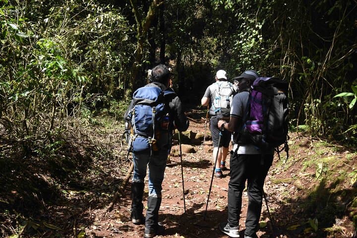 Northern Circuit Kilimanjaro: 10-Day Mount Kilimanjaro Hike Guide photo 3