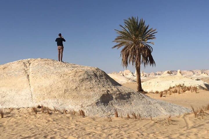 3-Day White Desert & Bahariya Oasis Tour from Cairo photo 3