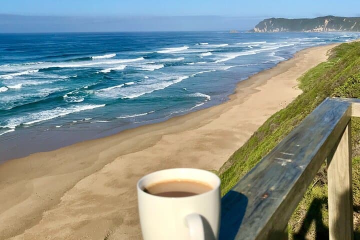 Garden Route & Addo: 6-Day South African Road Trip from Cape Town photo 5