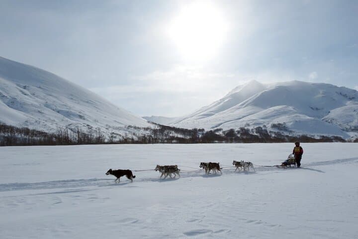 5-Day Private Arctic Adventure in Tromsø: Dog Sledding, Ice Domes & Northern Lights photo 2