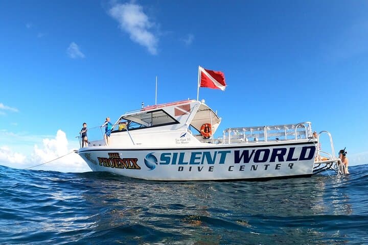 Key Largo Guided Shallow 2‑Tank Dive Trip for Certified Divers