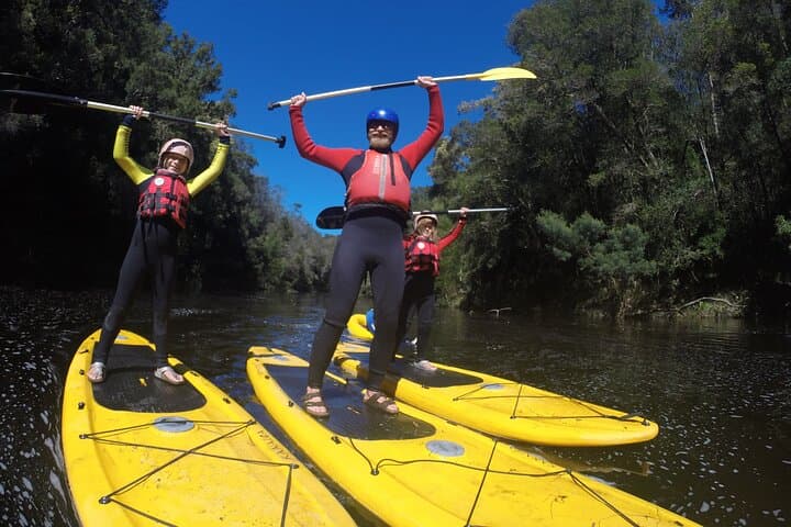 Blackwater Tubing Green Route: Storms River SUP & Tube Combo in Tsitsikamma