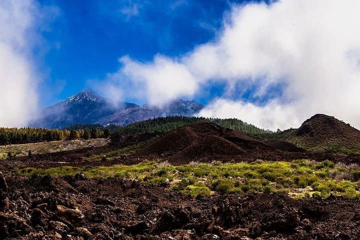 Almond Blossom Trail, Tenerife: Full-Day Walk Through Bloom and Lava photo 4
