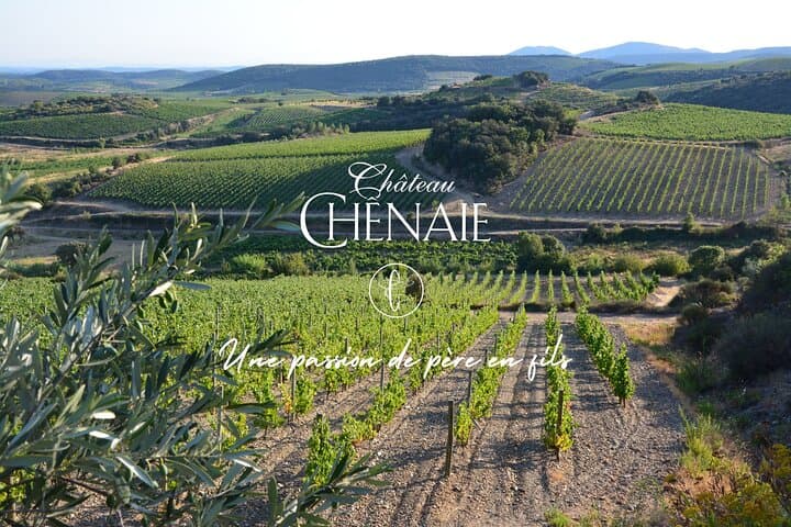Guided Winemaker Tour in Faugères: From the Vine to the Glass photo 1