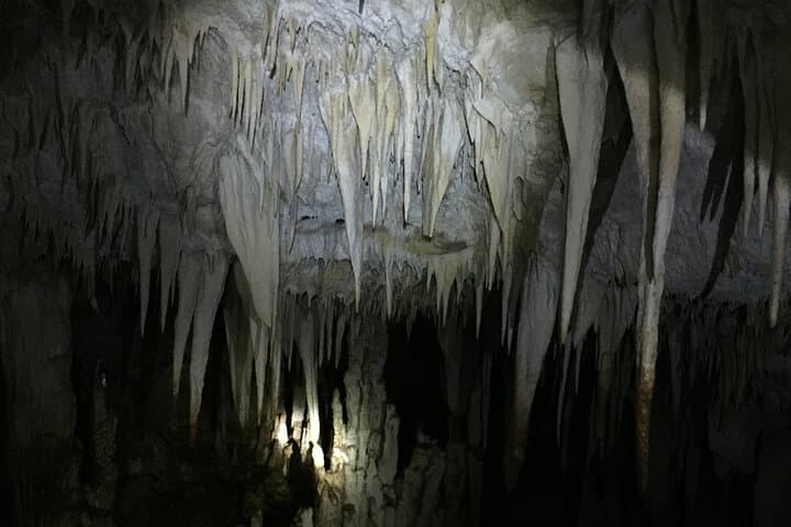 Guanacaste Caving & Dry-Forest Hike — Stalactites, Stalagmites and Tempisque Views photo 2