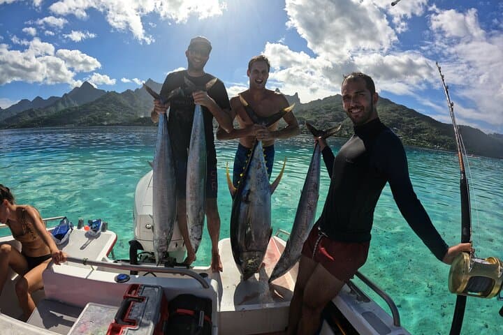 Half-Day Big-Game Fishing in Moorea: Shared Offshore Charter for Marlin, Tuna, and Mahi photo 2