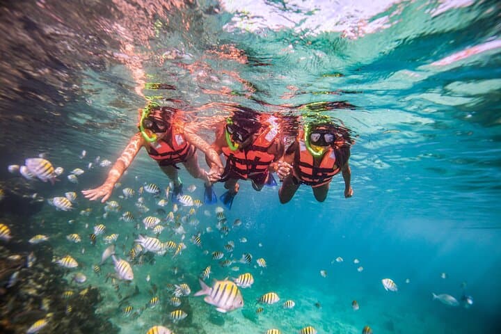 Catamaran to Isla Mujeres: Snorkel Reefs & Beach Club Day Trip from Cancún photo 3