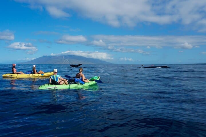 Kayak Whale Watching in Maui: Makena Landing Humpback Experience photo 5