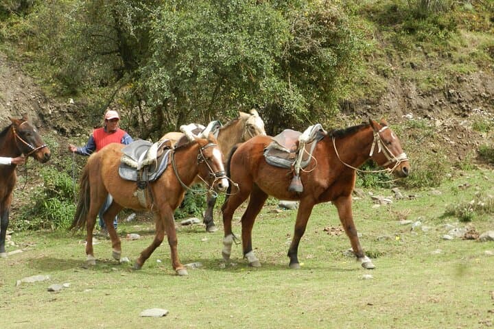 Humantay Lake: Day Hike from Cusco to the Turquoise Lagoon photo 5
