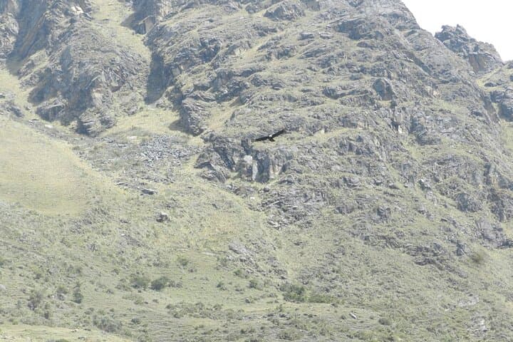 Humantay Lake: Day Hike from Cusco to the Turquoise Lagoon photo 6