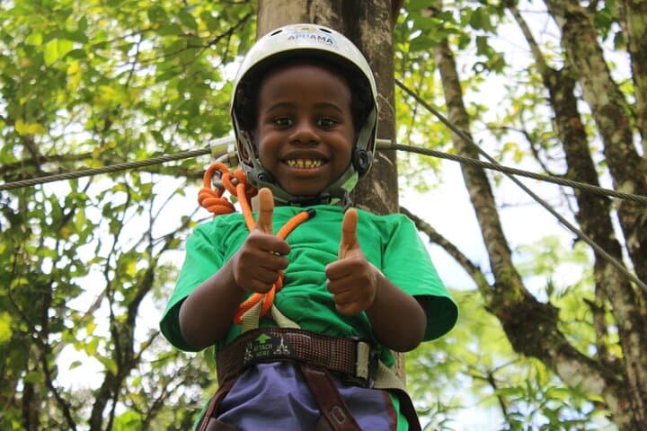 Tree Climbing Among the Araucarias — Canopy Adventure near Serra do Tabuleiro