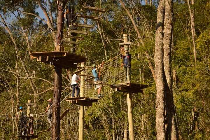 Tree Climbing Among the Araucarias — Canopy Adventure near Serra do Tabuleiro photo 2