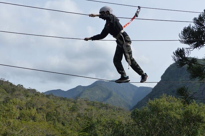 Tree Climbing Among the Araucarias — Canopy Adventure near Serra do Tabuleiro photo 3