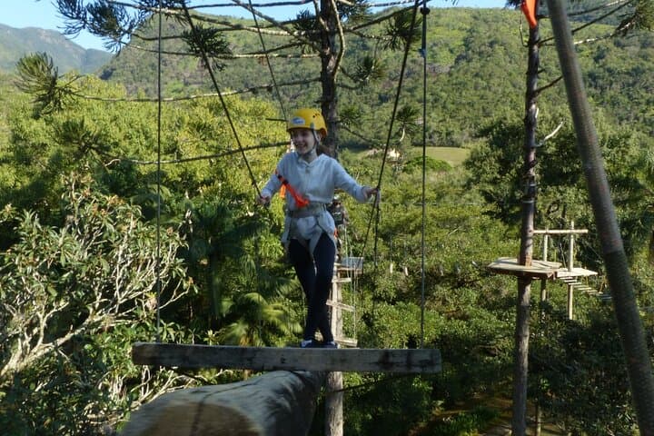 Tree Climbing Among the Araucarias — Canopy Adventure near Serra do Tabuleiro photo 4