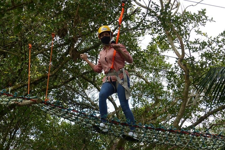 Tree Climbing Among the Araucarias — Canopy Adventure near Serra do Tabuleiro photo 5