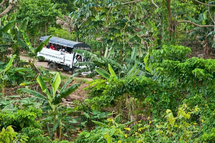 Punta Cana Safari: Half-Day Trapiche, Rum & Cigar Cultural Tour photo 3