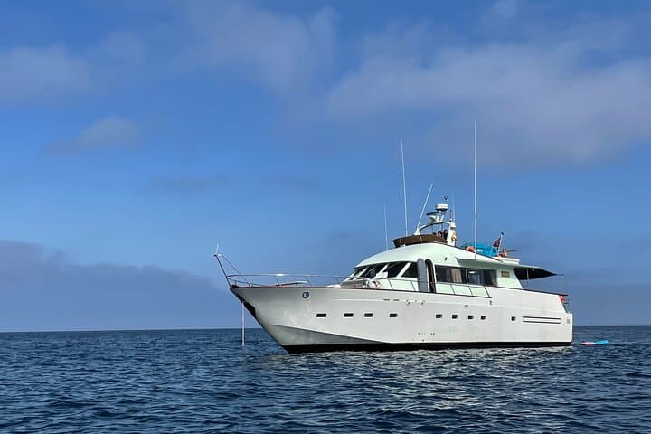 Sunset Yacht Cruise on Lisbon’s Tagus — VIP 2‑Hour Private Charter photo 6
