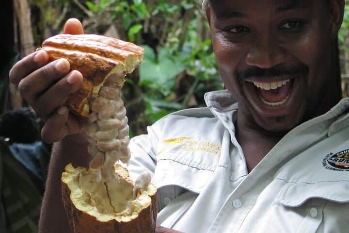 Punta Cana Safari: Half-Day Trapiche, Rum & Cigar Cultural Tour photo 5
