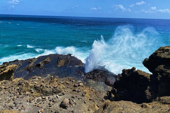 Oahu North Shore and Waikiki Small-Group Island Experience photo 2