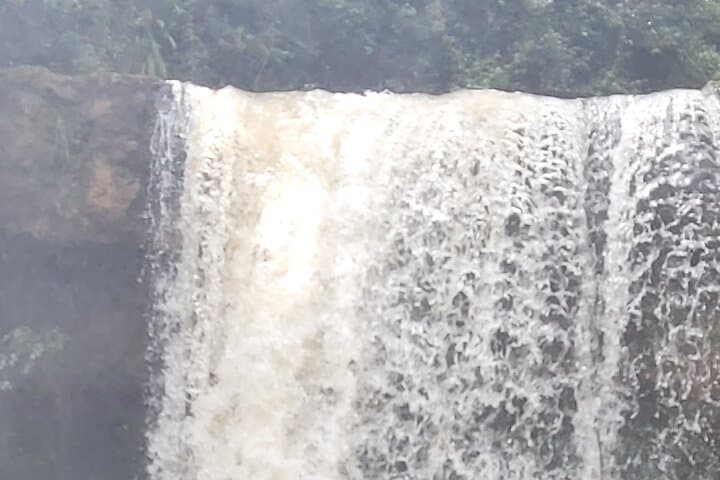 Purple Tea Farm Tour from Nairobi: Tea-Picking, Processing & Waterfall Walk photo 6