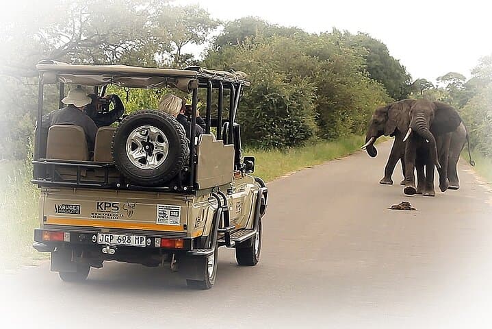 Full-Day Private Kruger Park Safari: Big Five Game Drive from Hazyview