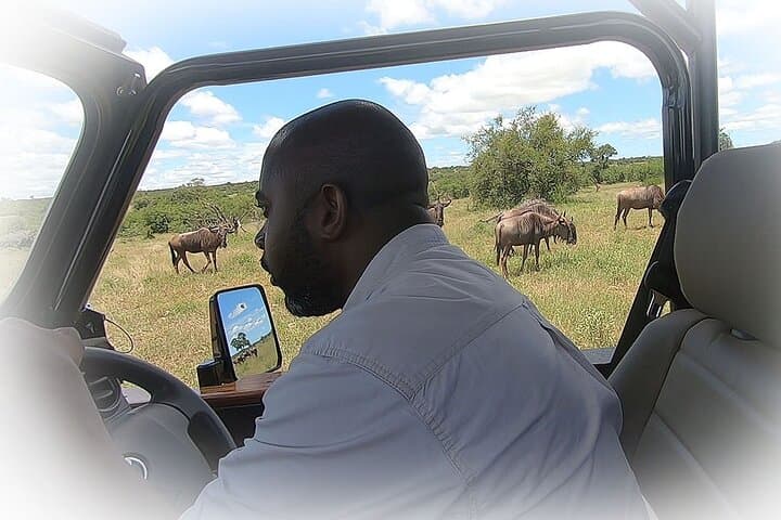 Full-Day Private Kruger Park Safari: Big Five Game Drive from Hazyview photo 2
