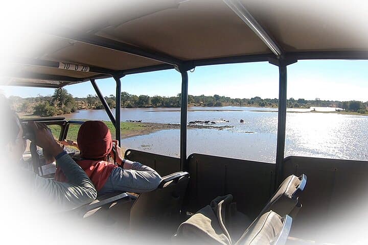 Full-Day Private Kruger Park Safari: Big Five Game Drive from Hazyview photo 4
