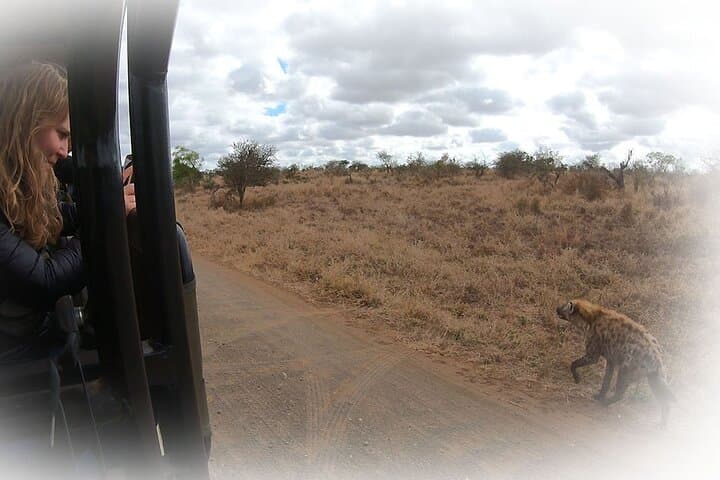 Full-Day Private Kruger Park Safari: Big Five Game Drive from Hazyview photo 6