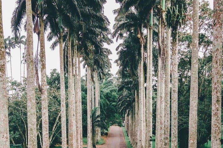 Aburi Quad Biking and Landmark Tour with Breakfast, Palm Wine Tasting & Dinner
