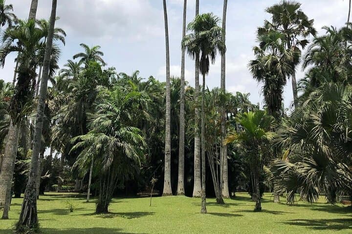 Aburi Quad Biking and Landmark Tour with Breakfast, Palm Wine Tasting & Dinner photo 4