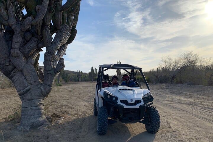 East Cape Side-by-Side Desert & Beach UTV Tour — 90-Minute Coastal Off-Road Adventure photo 2