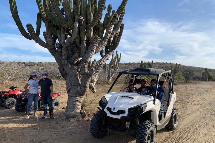 East Cape Side-by-Side Desert & Beach UTV Tour — 90-Minute Coastal Off-Road Adventure photo 3