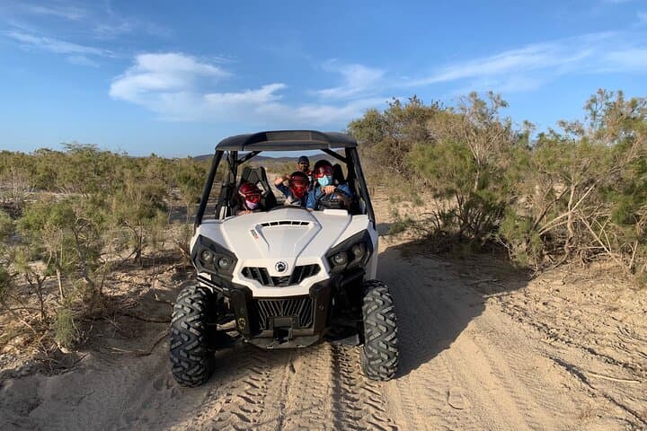 East Cape Side-by-Side Desert & Beach UTV Tour — 90-Minute Coastal Off-Road Adventure photo 4