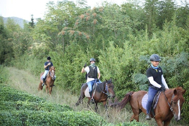 Half-Day Horseback Ride on Mt Mogan: Trails, Tea Houses & Bamboo Groves photo 4