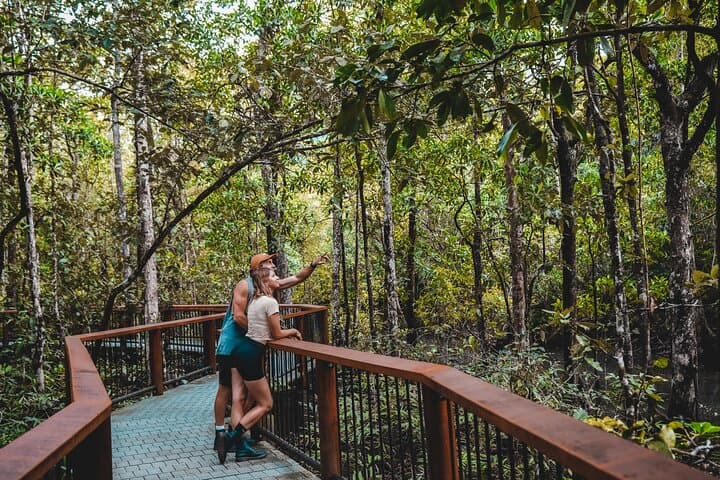 half-day-daintree-rainforest-tour-cape-tribulation-crocodile-cruise photo 2