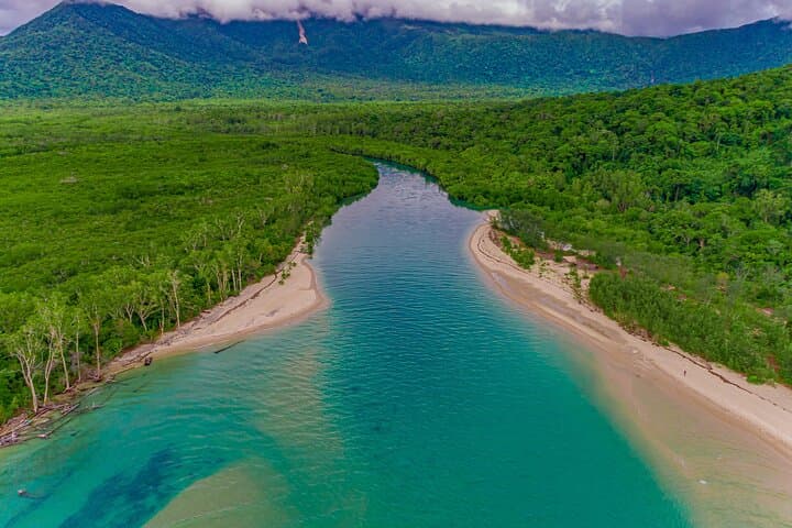 half-day-daintree-rainforest-tour-cape-tribulation-crocodile-cruise photo 3