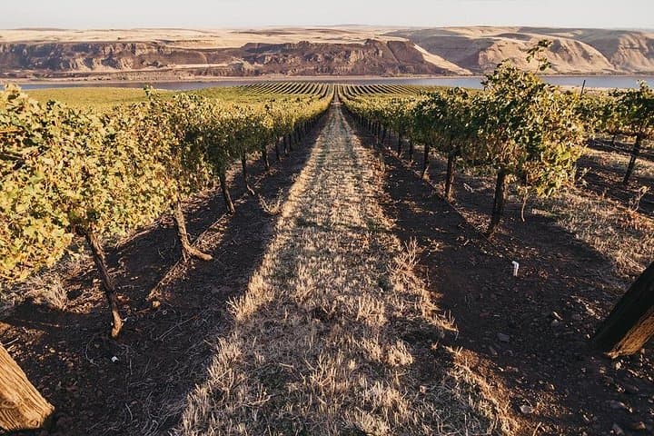 Woodinville Hollywood Wine Pass: How to Taste Four Wineries in a Day photo 1