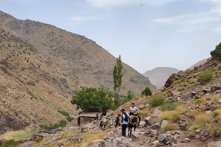 Ourika Valley Day Trip from Marrakech: Waterfalls, Berber Home Visit & Atlas Views photo 3