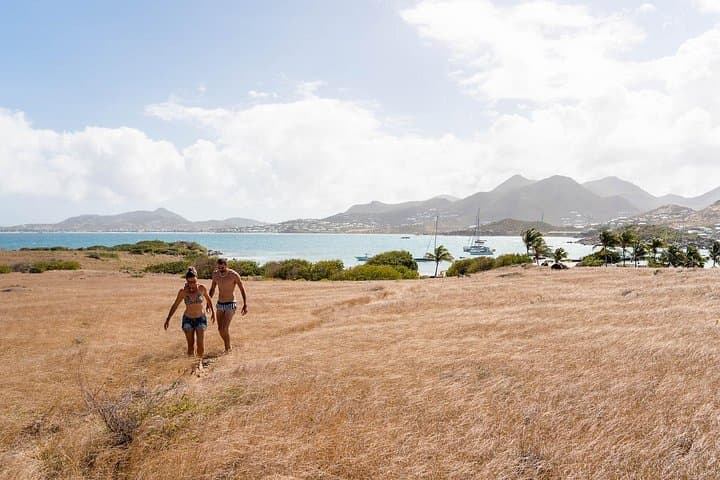 Kayak to Pinel Island: Snorkel, Sand and Caribbean Wildlife photo 2